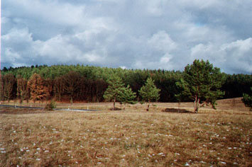 Blick zur Straße nach Jülchendorf